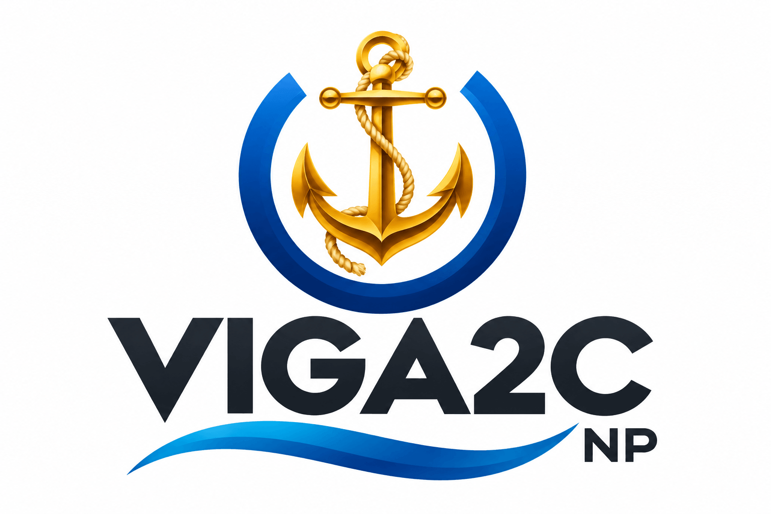 VIGA2C NP